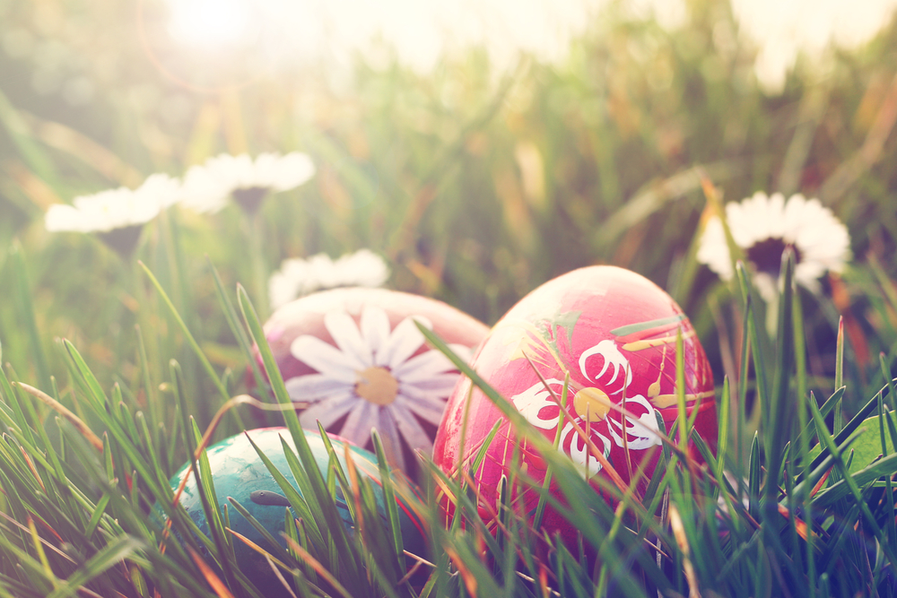 Easter,Eggs,And,Daisies,In,The,Grass